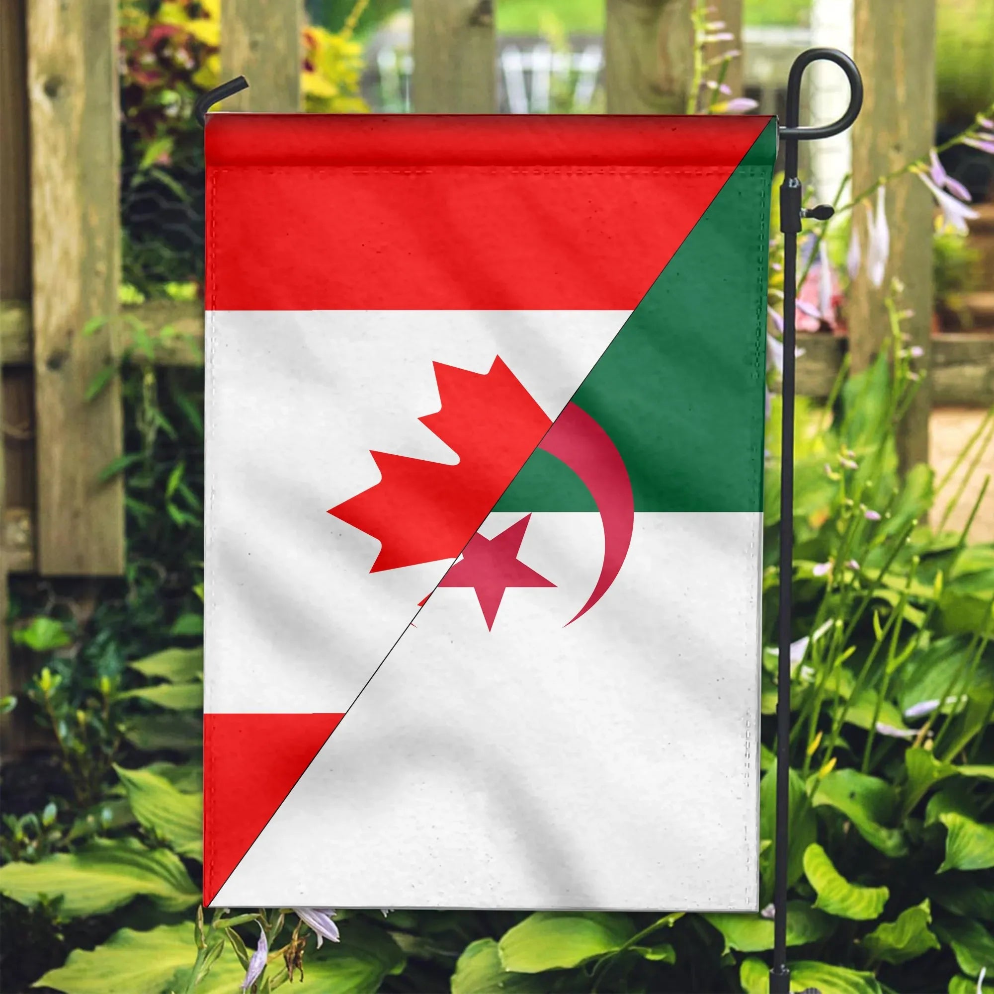 Canada Flag With Algeria Flag